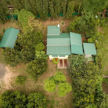 Dom wakacyjny Tiny House Laurel *