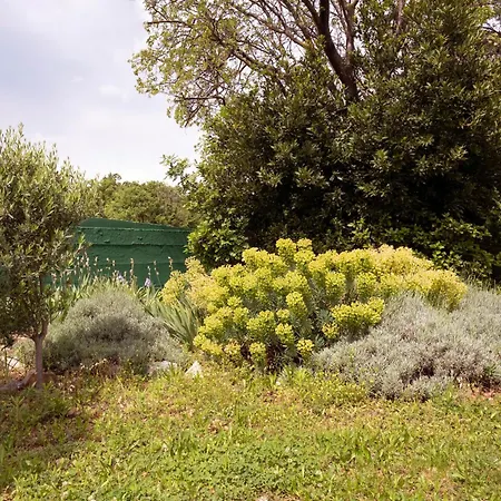 Prázdninový dům Tiny House Laurel