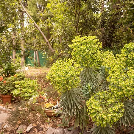 Tiny House Laurel * Kostrena