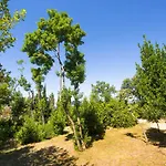 Case de vacanță Tiny House Laurel *
