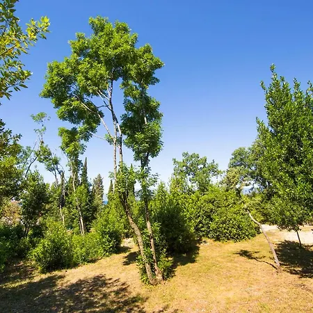 Nyaraló Tiny House Laurel *