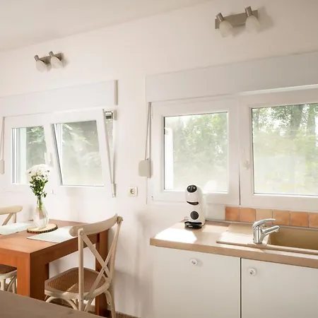 Case de vacanță Tiny House Laurel