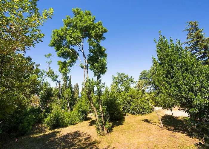 Nyaraló Tiny House Laurel *
