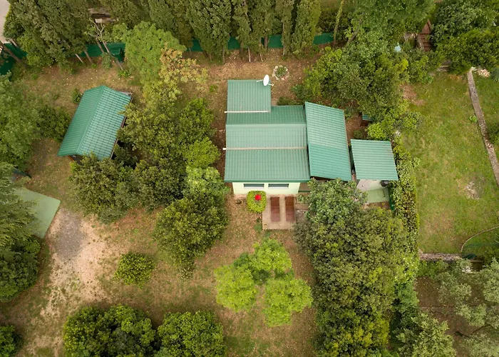 Casa de Férias Tiny House Laurel *