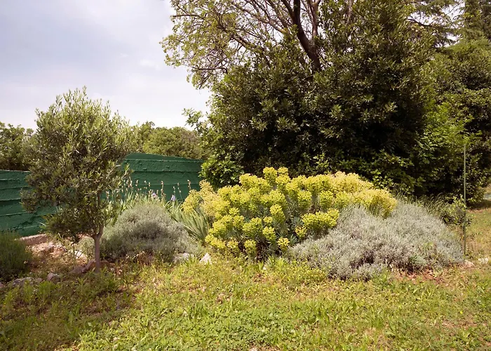Casa de Férias Tiny House Laurel