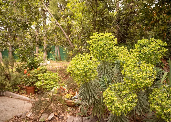 Tiny House Laurel * Kostrena